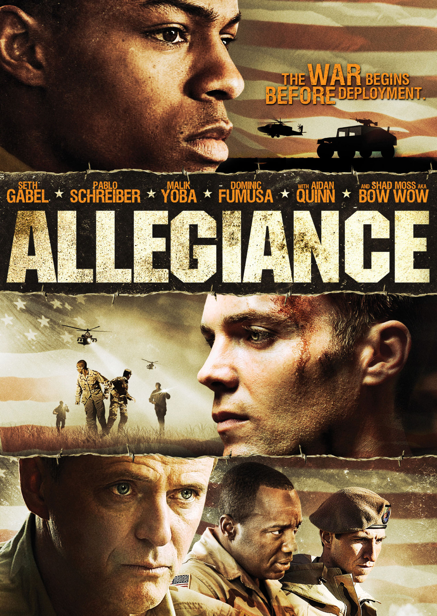 allegianceer